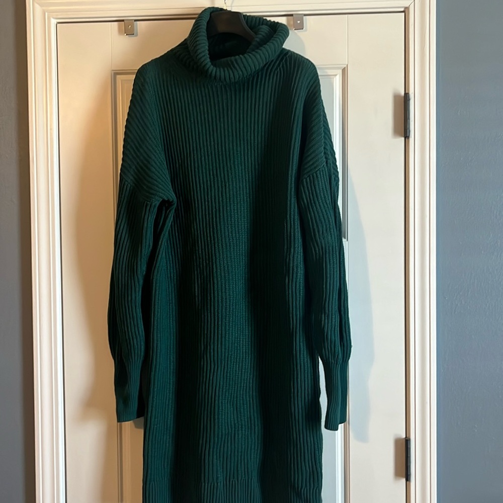 GAP Dark Green Ribbed Turtleneck Dress